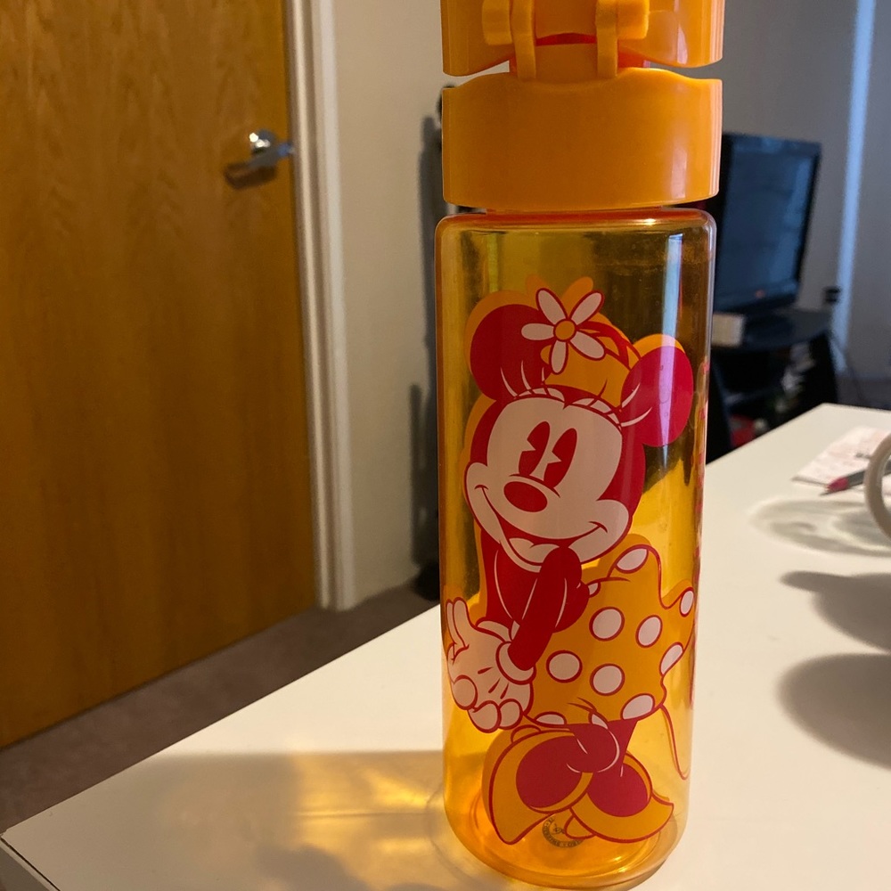 Mickey Minnie water bottle
